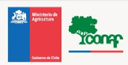 Logo empresa