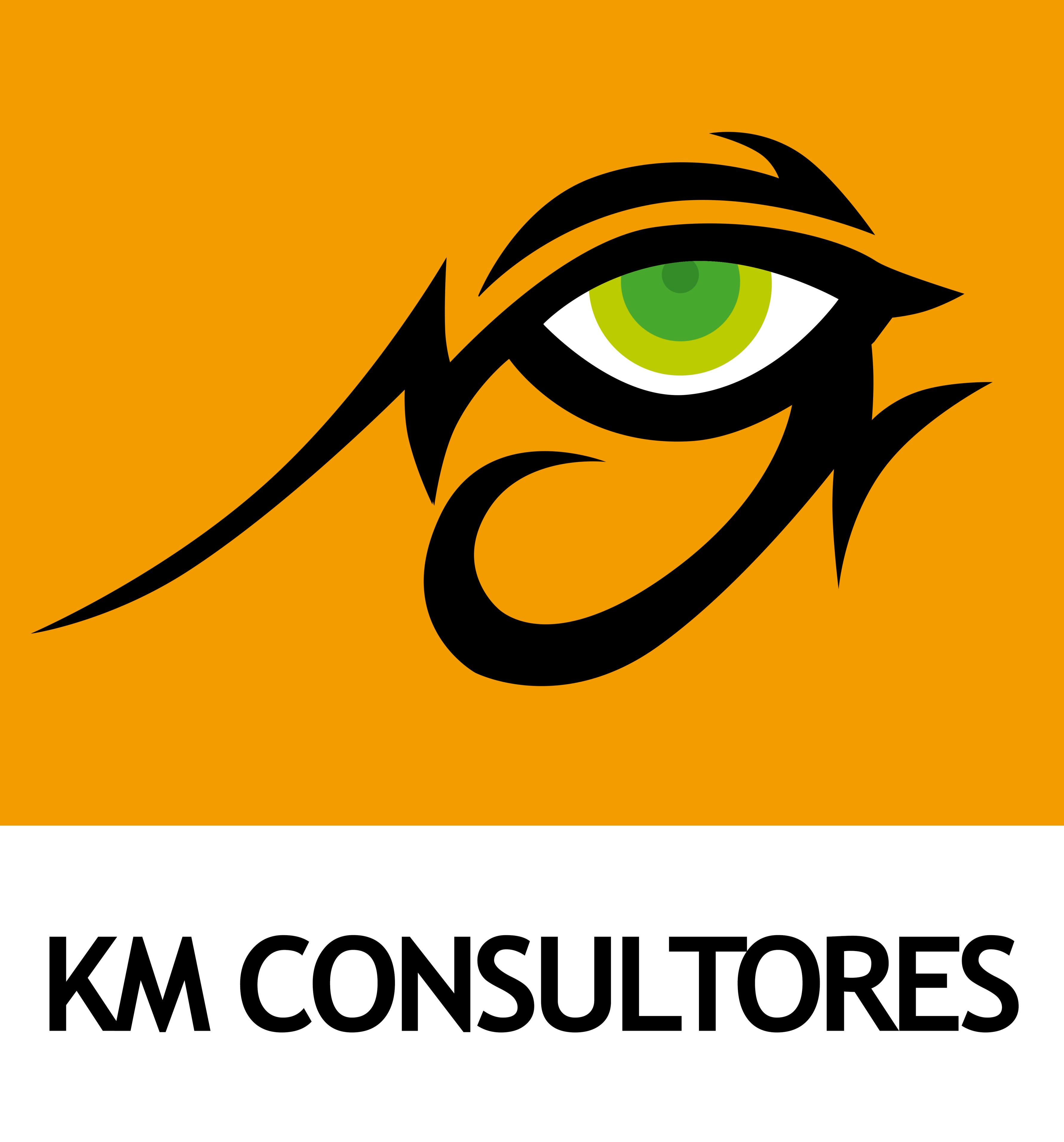 Logo empresa