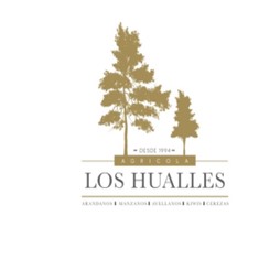 Logo empresa