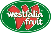 Logo empresa
