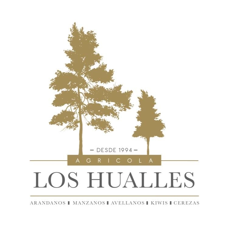 Logo empresa