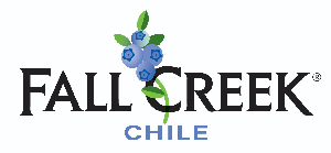 Logo empresa