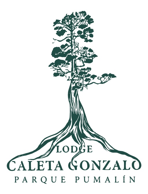 Logo empresa