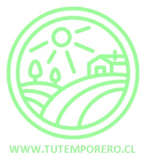 Logo empresa