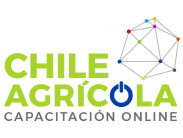 Chile agrícola